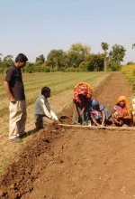 Agriculture