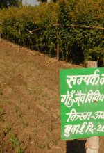 Agriculture