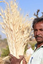 Agriculture