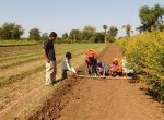 Agriculture
