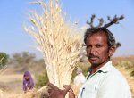 Agriculture