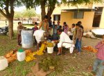 Agriculture