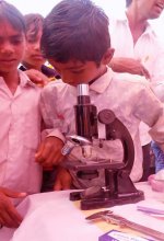 Education Glimpses