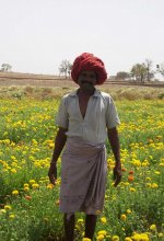 Agriculture