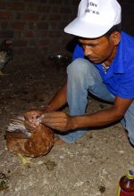 Poultry Farming